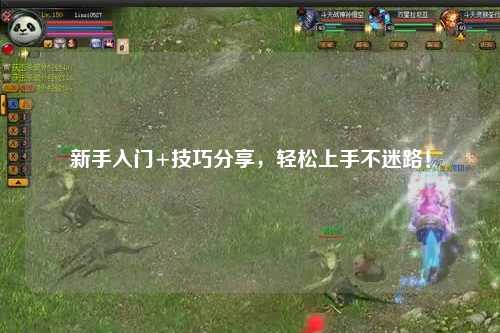 新手入門+技巧分享，輕松上手不迷路！