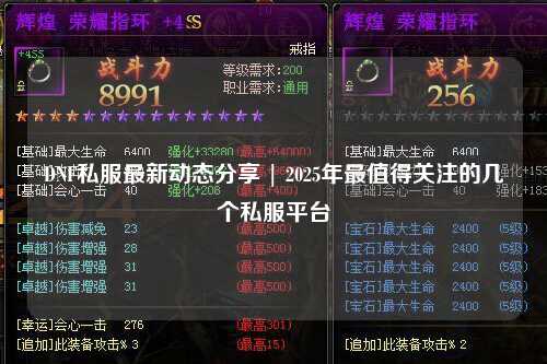 DNF私服最新動態分享 | 2025年最值得關注的幾個私服平臺