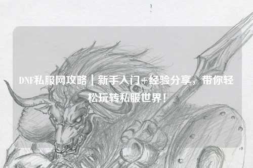 DNF私服網(wǎng)攻略｜新手入門+經(jīng)驗(yàn)分享，帶你輕松玩轉(zhuǎn)私服世界！