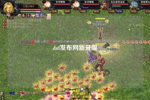 dnf發(fā)布網(wǎng)新開服