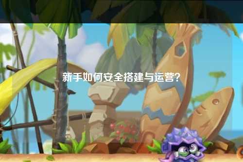 新手如何安全搭建與運營？