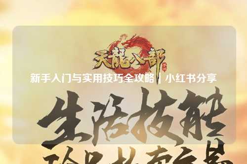 新手入門與實(shí)用技巧全攻略｜小紅書分享