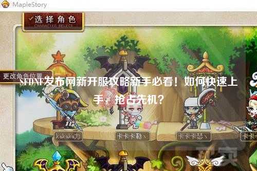 SFDNF發(fā)布網(wǎng)新開服攻略新手必看！如何快速上手，搶占先機(jī)？