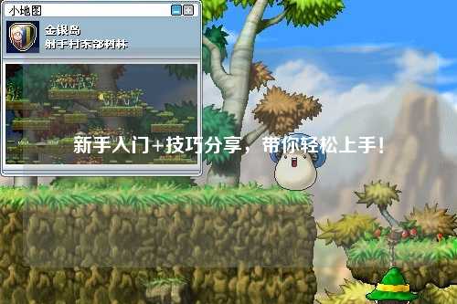 新手入門+技巧分享，帶你輕松上手！
