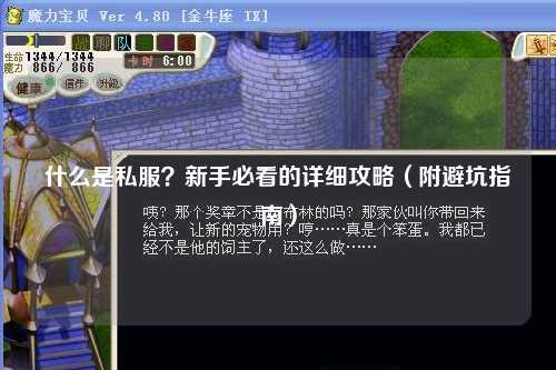 什么是私服?新手必看的詳細攻略(附避坑指南)